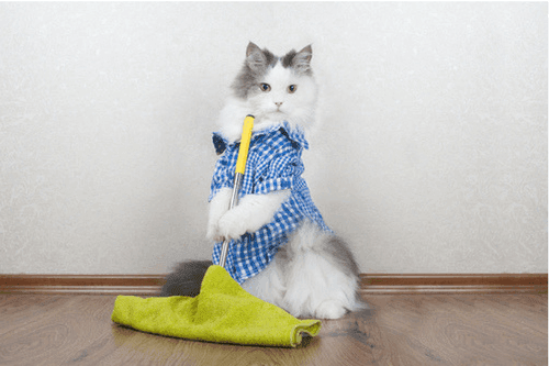 cleaning-hacks