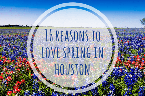 spring in houston