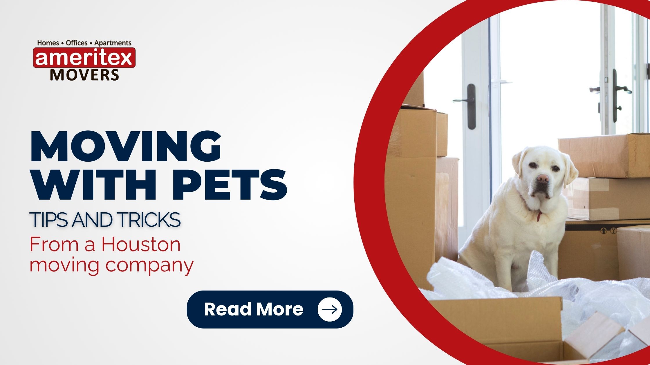 Moving with Pets Tips & Tricks